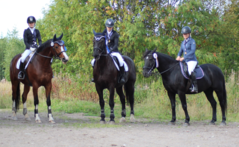 Ratsastuskouluoppilaiden aluemestaruudet 2019