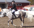 Aino-Kaisa Räisänen - Misambal ponien koulussa aluehallimestaruus pronssia 2005