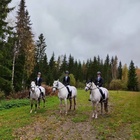 Helppo A tason mitalistit