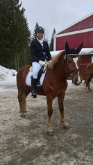 Jenna Glumerus - Seremoniamestari, K.N. Specialin ja A-merkin voittajaratsukko
(Kuva lainattu Jennalta)