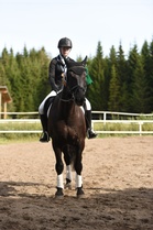 C-taso pronssia Veera Savolainen, Avants, Varkauden Ratsastuskeskus