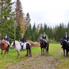 Helppo B tason mitalistit