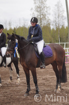 80 cm kultaa Katri Turunen - Peikon Prinssi, Peikkometsän Ratsastuskoulu