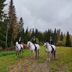 Helppo A tason mitalistit