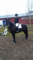 Tuuli Torvinen - Othello IV
©Satu