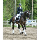 Elina Anttikoski - Revanss 